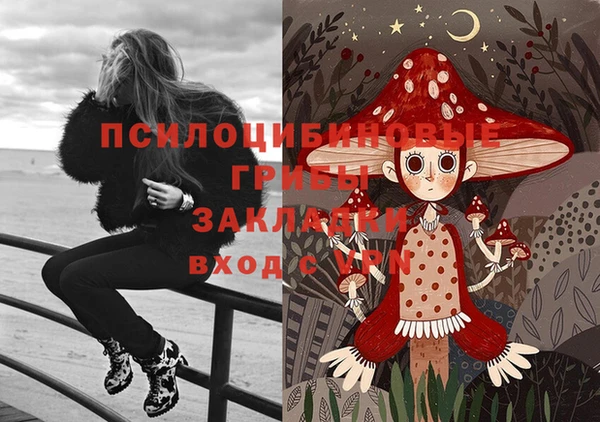 гидропоника Арсеньев