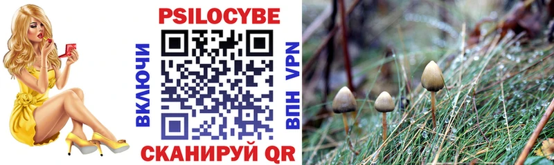 Псилоцибиновые грибы MAGIC MUSHROOMS Миньяр